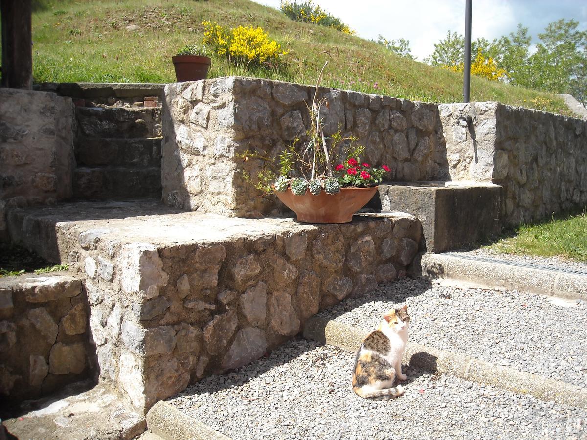 B&B Casale Dorando Barga Exterior foto